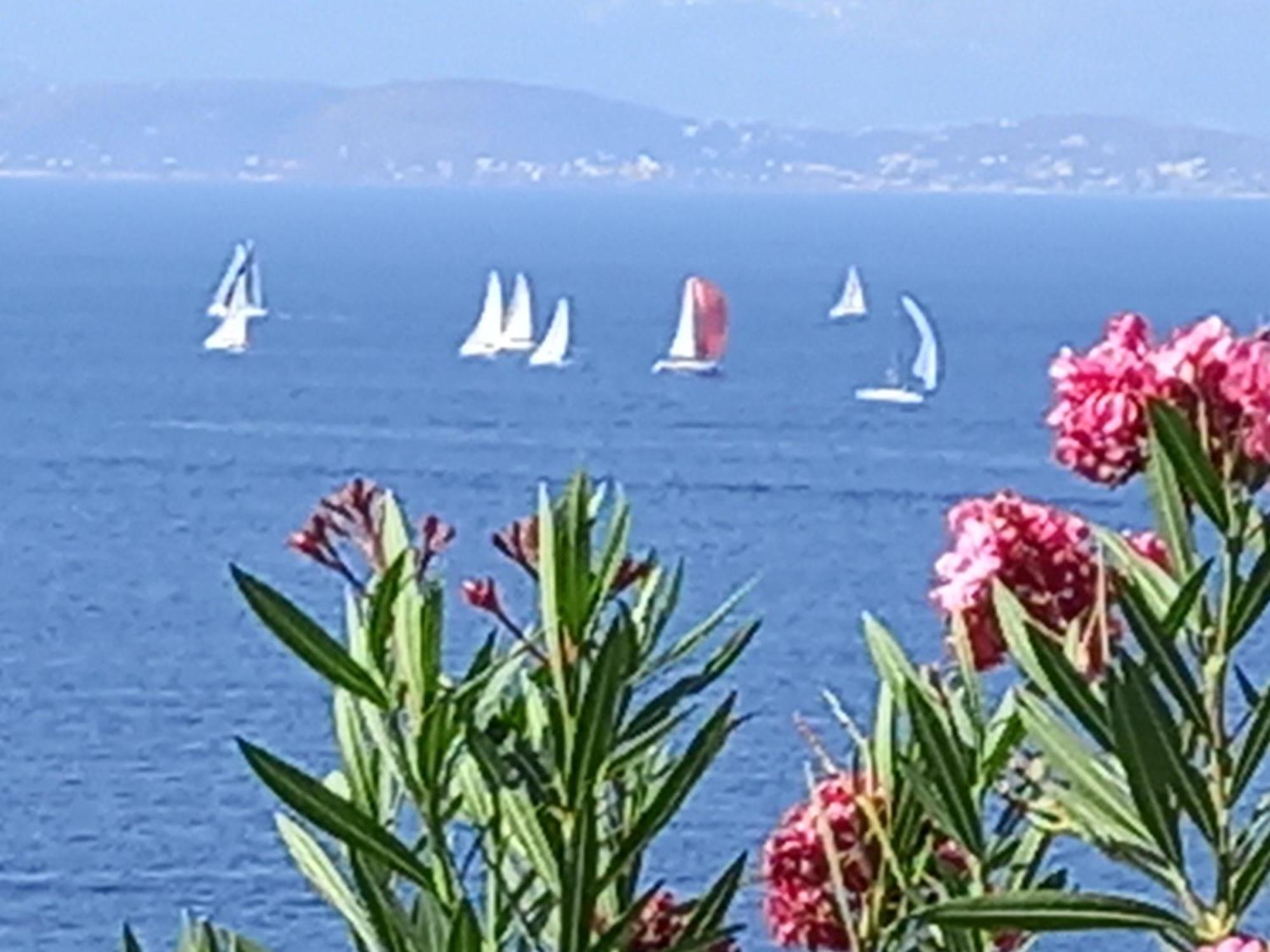 Mavi Panorama Villa Çeşme Εξωτερικό φωτογραφία