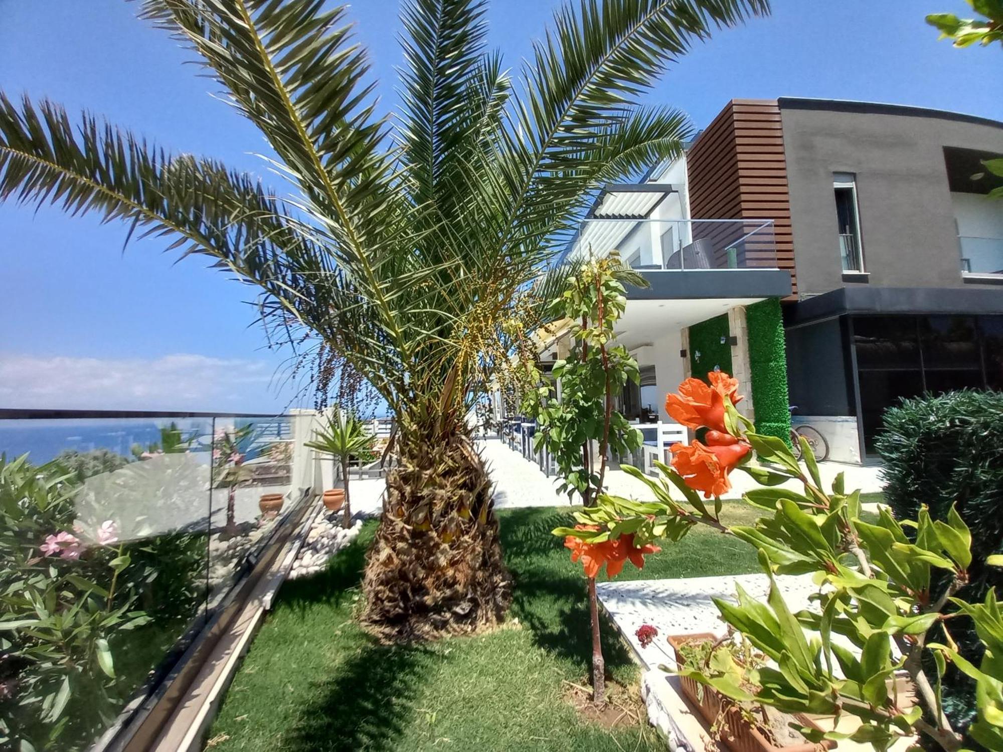 Mavi Panorama Villa Çeşme Εξωτερικό φωτογραφία